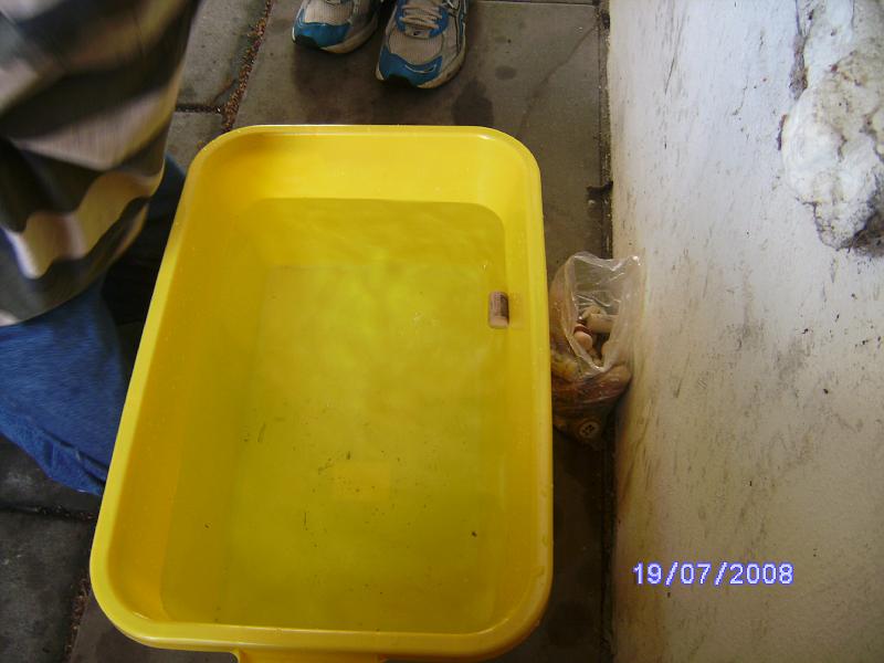 BILD0386.JPG