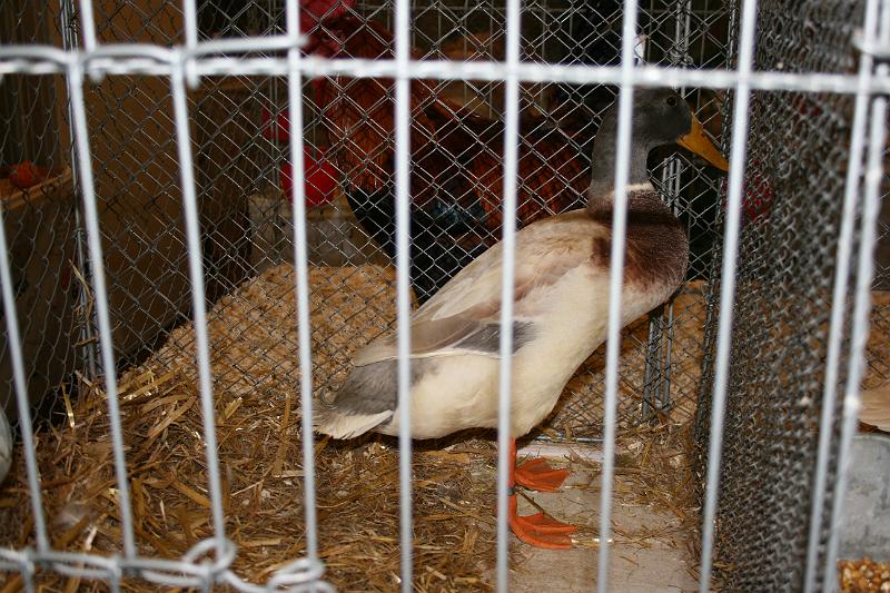 149.JPG